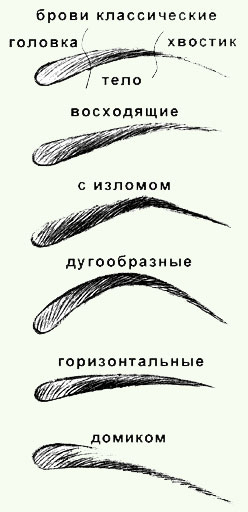 Разные формы женских бровей (фото)